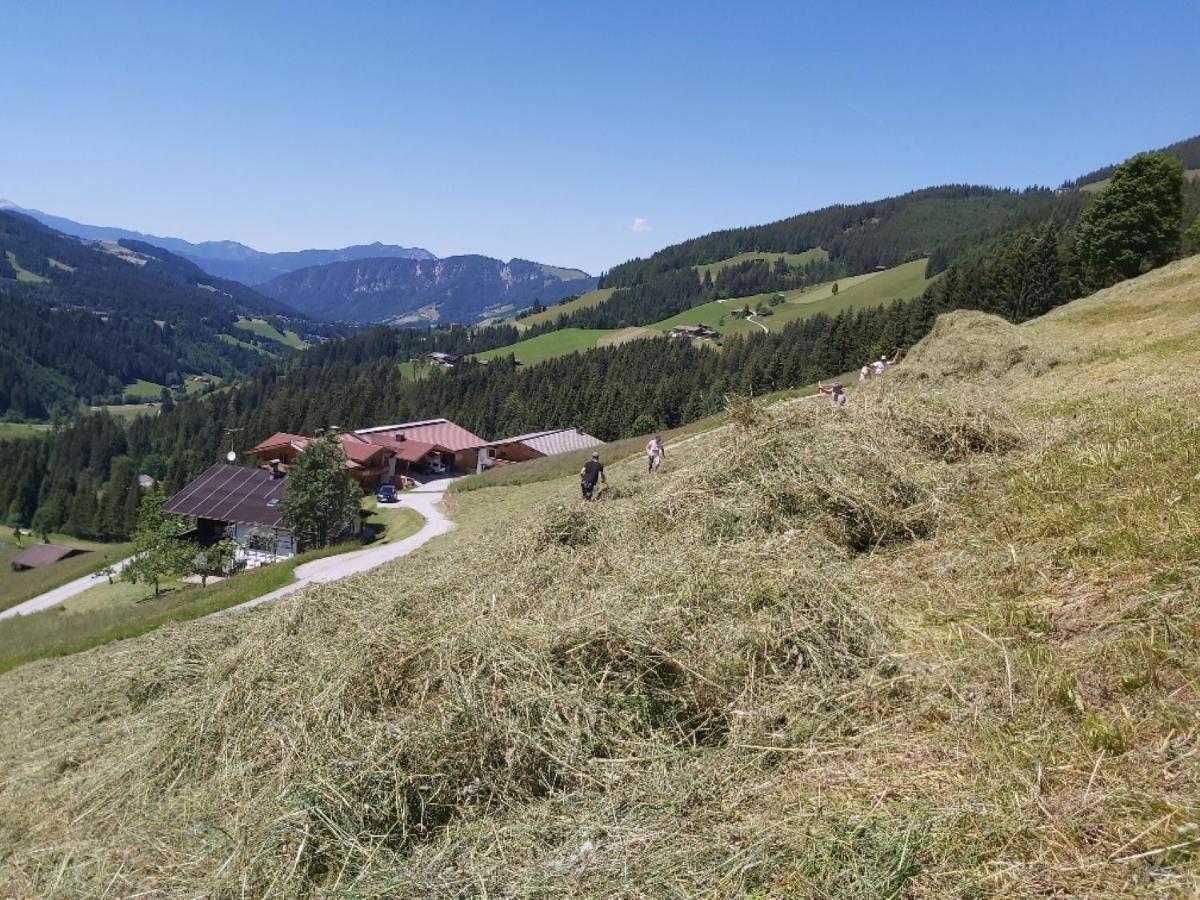 Praedastenhof Auffach Dış mekan fotoğraf