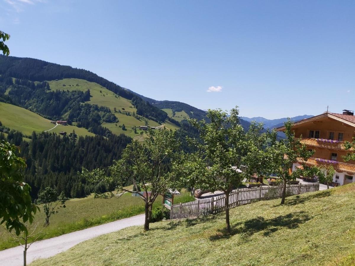 Praedastenhof Auffach Dış mekan fotoğraf