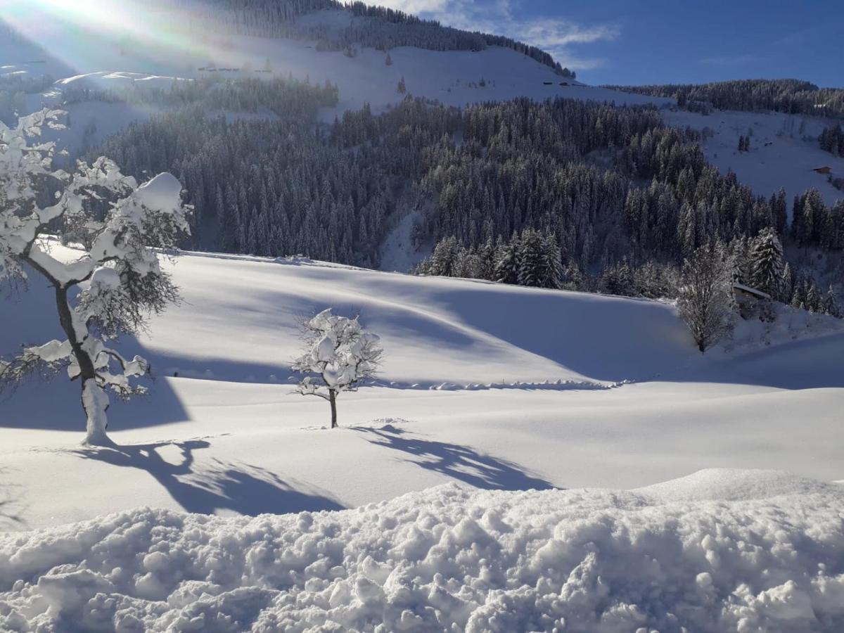 Praedastenhof Auffach Dış mekan fotoğraf